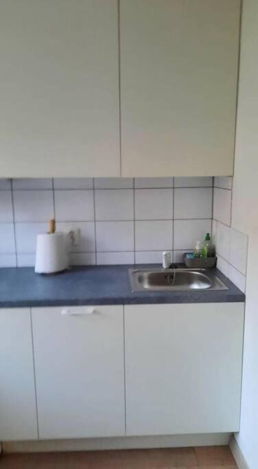 Appartamento Klaipedos Miesto Centras Klaipėda Esterno foto